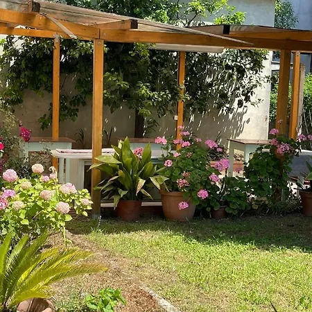 Casa Violetta Marina di Massa